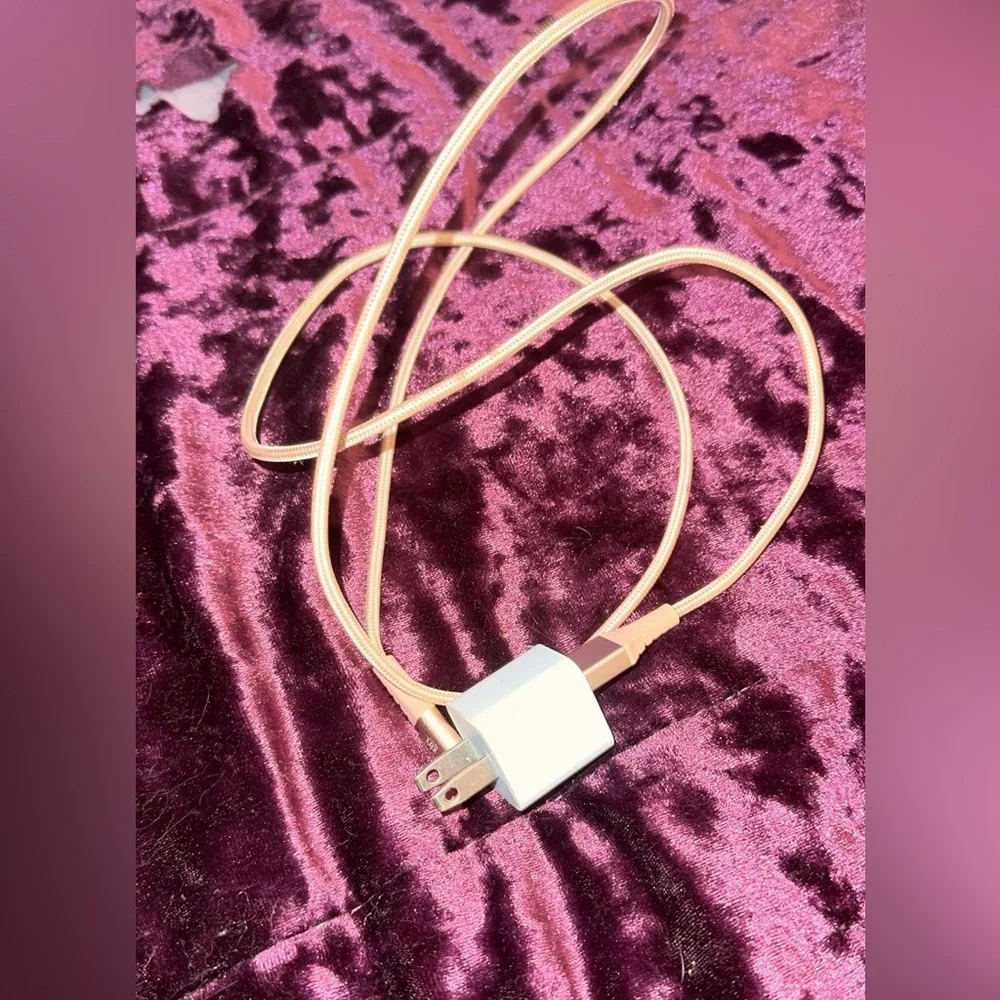 4 foot lightning charger